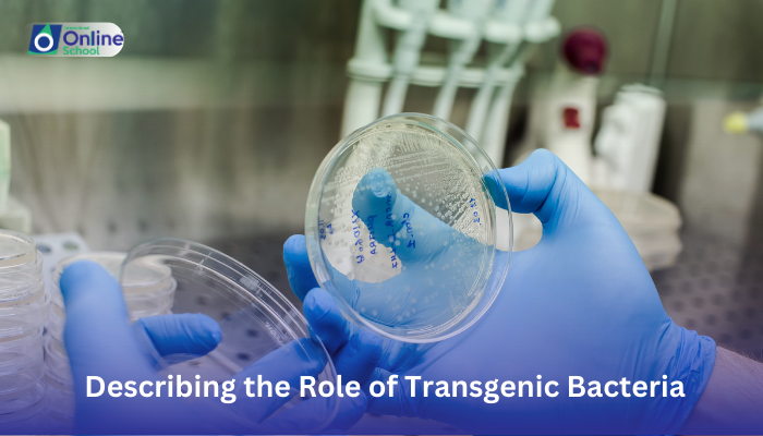 Lesson 27: Describing the Role of Transgenic Bacteria